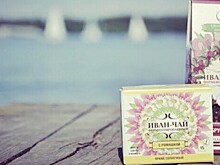 Производитель иван-чая из Новгорода получил первый в РФ сертификат производства дикоросов