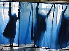 В ДНР началось предварительное общественное голосование