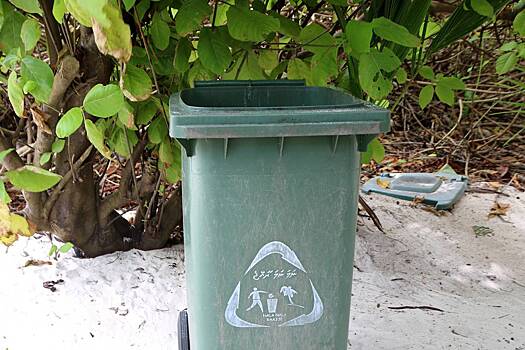 Голый мужчина сбежал от полиции и спрятался с мусорном контейнере