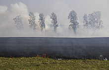 В Краснодарском крае усилена группировка спасателей для борьбы с пожарами