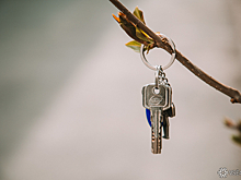 "Снимает угол": директор Долиной рассказал, где сейчас живёт оставшаяся без квартиры певица