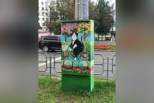 Челябинские художники посадили кота на велосипед возле педуниверситета
