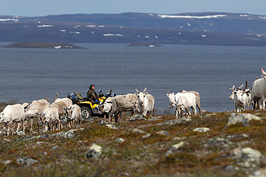 Норвегия увеличит масштабы загрязнения Баренц-региона