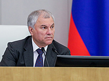 Володин призвал инвестировать в знания