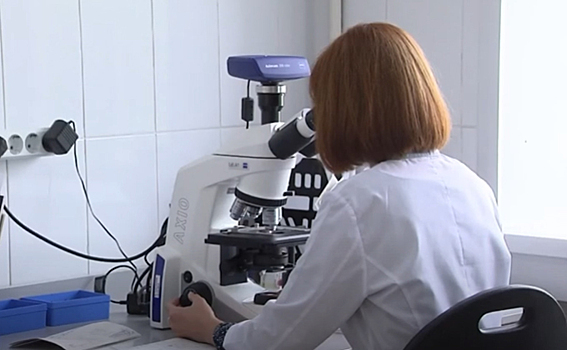 В три раза быстрее научились выявлять рак новосибирские медики