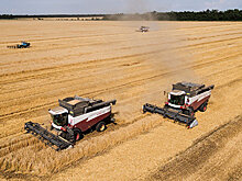 Медведев призвал поддержать ключевые секторы промышленности и с/х