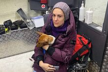 Собаки, кошки и капуцин: каким животным помогали московские спасатели и пожарные в этом году
