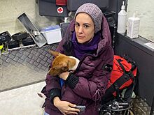 Собаки, кошки и капуцин: каким животным помогали московские спасатели и пожарные в этом году