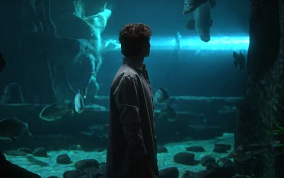 В имиджевом ролике «Москвариума» чувства людей сравнили с подводным миром