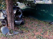 19-летний волгоградец на полном ходу влетел в дерево