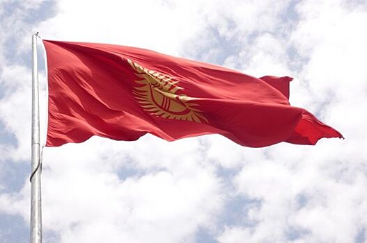 В Киргизии опровергли причастность гражданина республики к атаке в Стамбуле