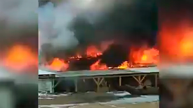 Названа причина пожара в здании бывшего рыбзавода на острове Ольхон