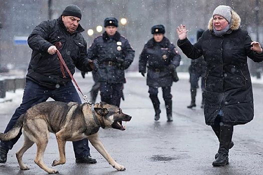 Кто в ответе за тех, кого мы приручили?