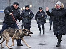 Кто в ответе за тех, кого мы приручили?