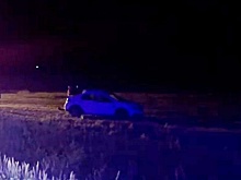 Водитель иномарки погиб на трассе в Дивеевском округе