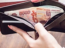 Эксперт спрогнозировал эффект от увеличения МРОТ до 20 тысяч рублей