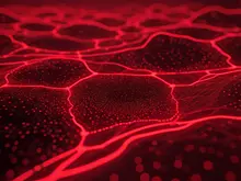 Ученые нашли связь между красным светом и риском образования тромбов