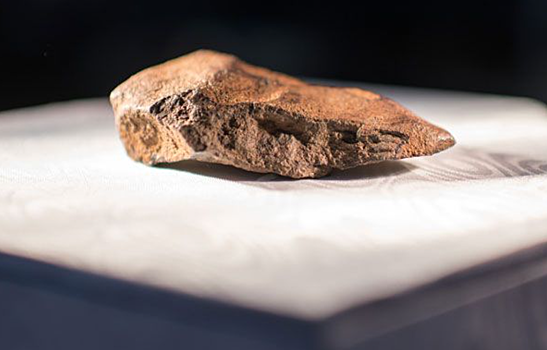 Уникальный метеорит подтвердил гипотезу о происхождении воды на Земле