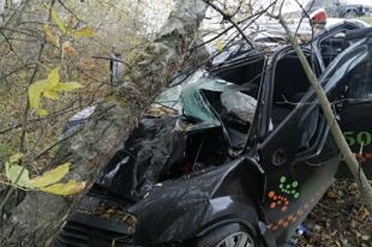 Под Рязанью такси съехало с дороги и врезалось в дерево