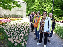 Жители СД «Обручевский» побывали в ботаническом саду «Аптекарский огород»