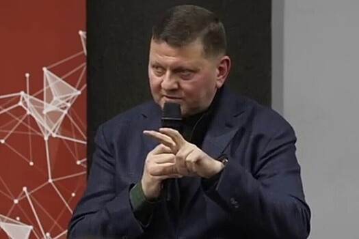 Провальный визит Зеленского спровоцировал тайные звонки США Залужному