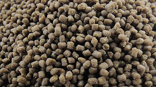 F3 объявила международный конкурс для развития аквакультуры без кормов с рыбной мукой