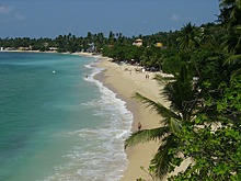 На Шри-Ланке от туристов потребуют более двух  ПЦР-тестов