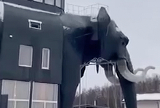 В Подмосковье жилой дом в форме слона попал на видео