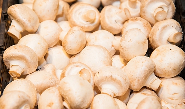 В Волгоградской области ядовитыми грибами отравились 3 человека