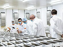Новый завод по выпуску панировочных сухарей позволит трудоустроить более трёхсот калининградцев — Беспрозванных