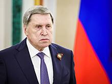 В Кремле раскрыли темы переговоров Путина и Уиткоффа