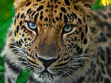 В парке "Красная Пресня" пройдет эко-фестиваль