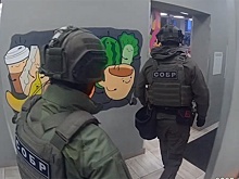 ФСБ задержала 86 подпольных оружейников, спецоперацию силовиков сняли на видео