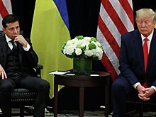 Стало известно о "деликатных вопросах" Трампа Зеленскому