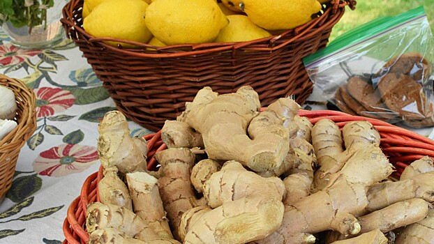 Имбирь: польза и вред для организма женщины, мужчины, противопоказания