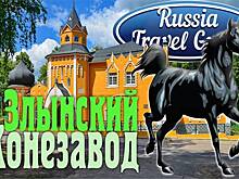 Ищите лошадь - Почему соседи Злынского племенного конезавода Андрея Раппопорта не в восторге от нового хобби миллиардера