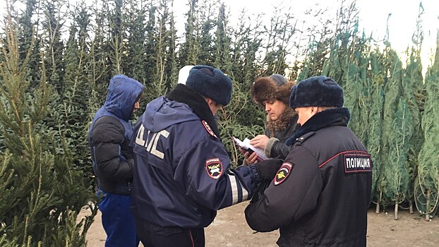 Челябинские полицейские оштрафовали 70 торговых точек с елками