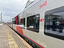 Перевозчик объяснил правилами РЖД отказ взять в поезд раненую собаку