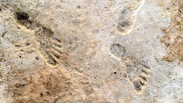Люди были в Америке на 10 000 лет раньше, чем считалось: новые доказательства