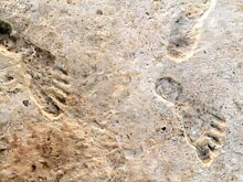 Люди были в Америке на 10 000 лет раньше, чем считалось: новые доказательства