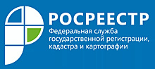 Более 200 тысяч реестровых дел из архива Росреестра оцифровано в первом квартале 2023 года