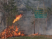 МЧС предложило увеличить штрафы за нарушения пожарной безопасности