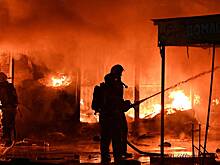 В Ростовской области начали отключать свет из-за пожаров