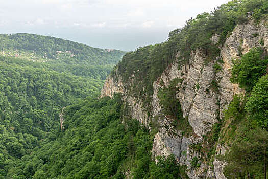 СК: неисправность и человеческий фактор считаются причинами крушения Ан-24