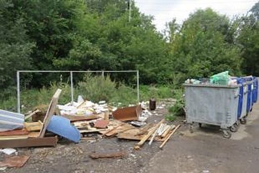 В Ульяновской области мусор передали из МинЖКХ в Минприроды