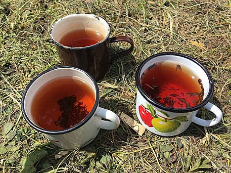 Чай Чингисхана: какие напитки получаются из горных трав Южной Осетии