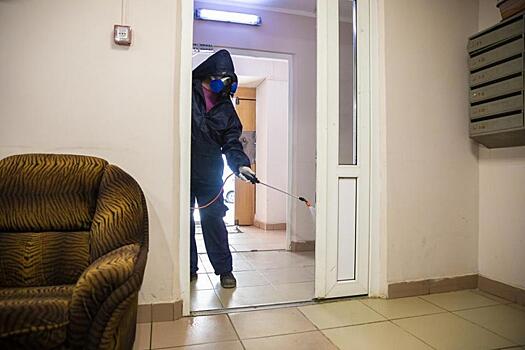 Во Владивостоке проверяется качество дезинфекции жилых домов