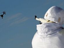 Депутат допустил, что власти будут помогать пострадавшим от сбитых дронов