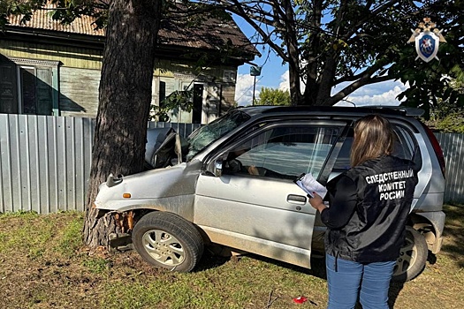 В Приморье 13-летняя девочка устроила смертельное ДТП