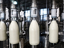 В правительстве не ожидают подорожания молока из-за экологического сбора